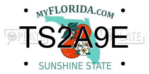 TS2A9E Florida License Plate