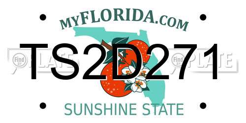 TS2D271 Florida License Plate