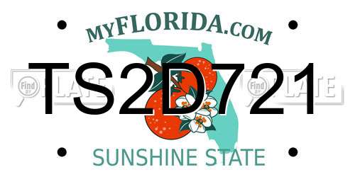 TS2D721 Florida License Plate