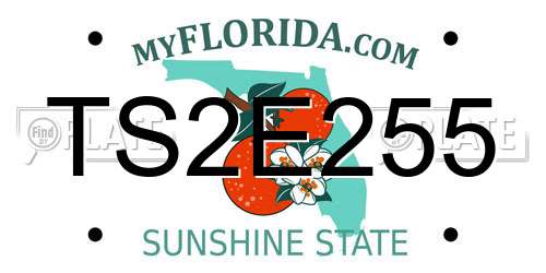 TS2E255 Florida License Plate