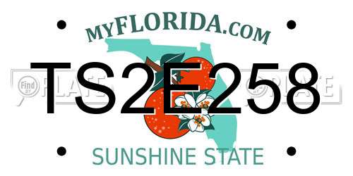 TS2E258 Florida License Plate