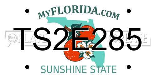 TS2E285 Florida License Plate