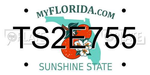 TS2E755 Florida License Plate