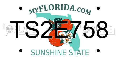 TS2E758 Florida License Plate