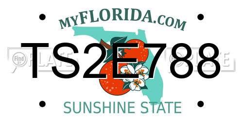 TS2E788 Florida License Plate