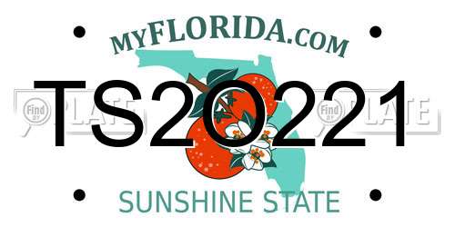 TS2O221 Florida License Plate