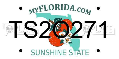 TS2O271 Florida License Plate