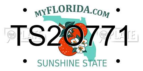 TS2O771 Florida License Plate