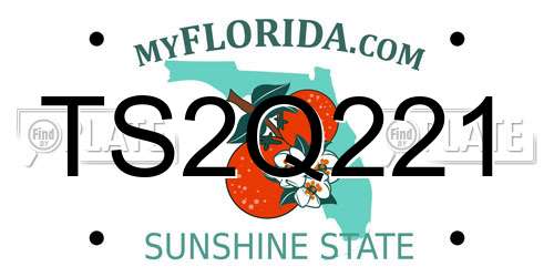 TS2Q221 Florida License Plate