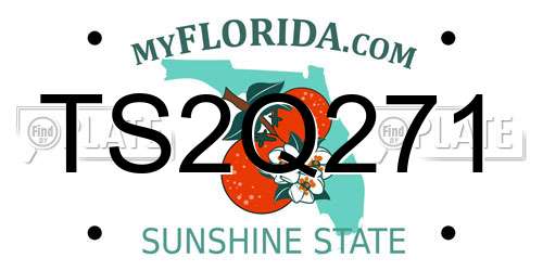 TS2Q271 Florida License Plate