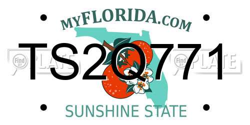 TS2Q771 Florida License Plate