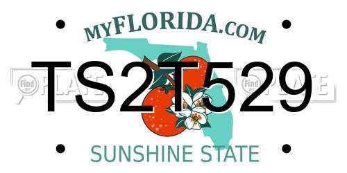 TS2T529 Florida License Plate