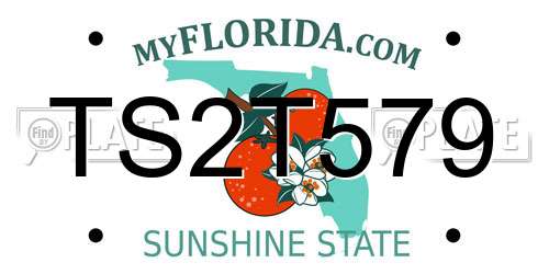 TS2T579 Florida License Plate