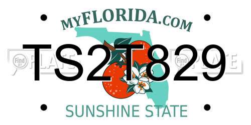 TS2T829 Florida License Plate