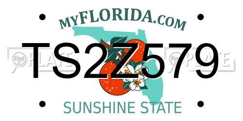 TS2Z579 Florida License Plate
