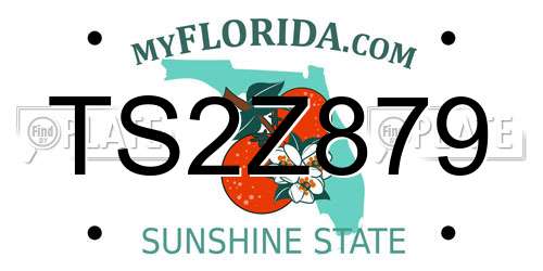 TS2Z879 Florida License Plate