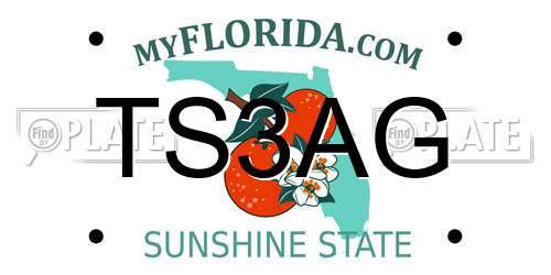 TS3AG Florida License Plate