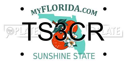 TS3CR Florida License Plate