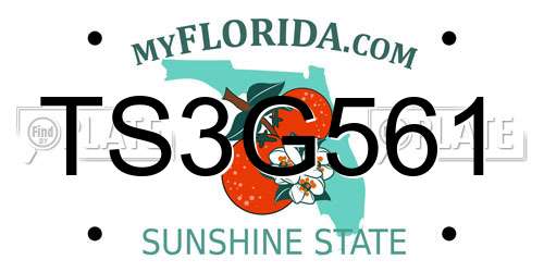 TS3G561 Florida License Plate