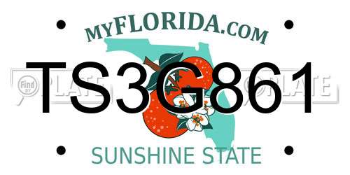 TS3G861 Florida License Plate