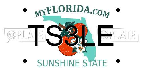 TS3LE Florida License Plate