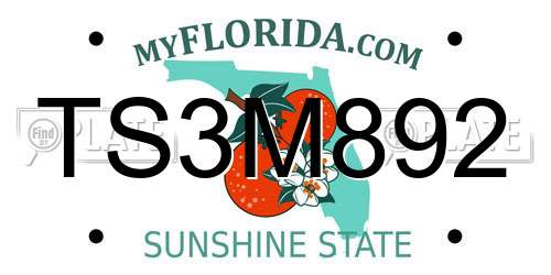 TS3M892 Florida License Plate