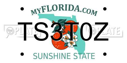 TS3T0Z Florida License Plate