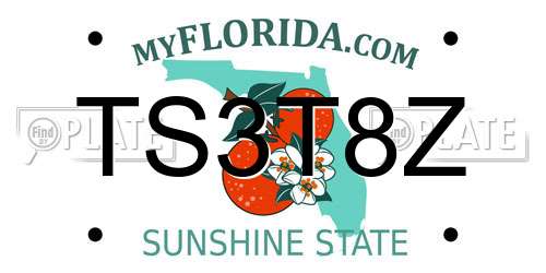 TS3T8Z Florida License Plate
