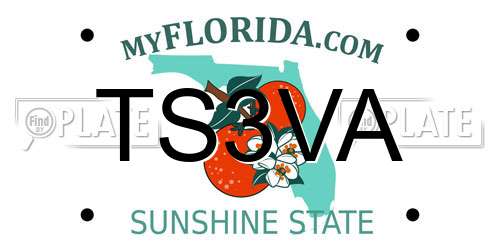TS3VA Florida License Plate