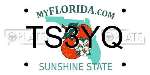 TS3YQ Florida License Plate