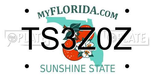 TS3Z0Z Florida License Plate