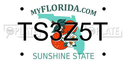 TS3Z5T Florida License Plate