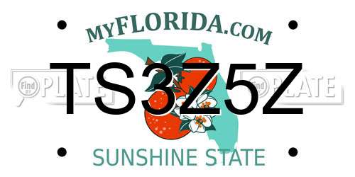 TS3Z5Z Florida License Plate