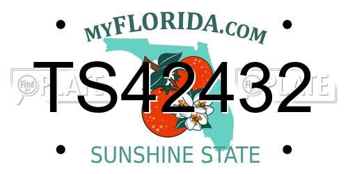 TS42432 Florida License Plate