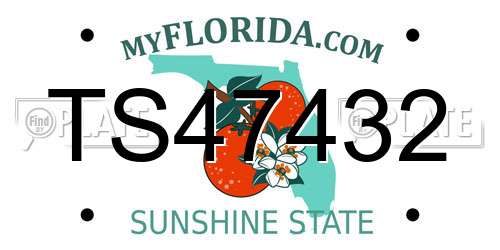 TS47432 Florida License Plate