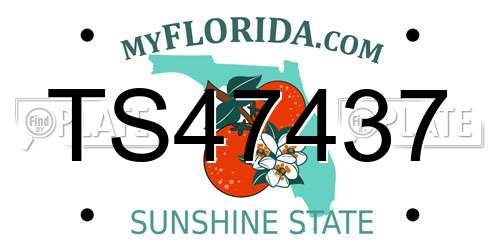 TS47437 Florida License Plate