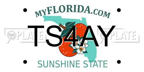 TS4AY Florida License Plate