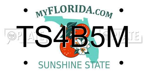 TS4B5M Florida License Plate