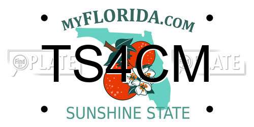 TS4CM Florida License Plate