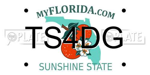 TS4DG Florida License Plate