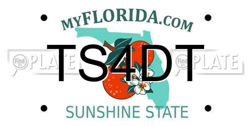 TS4DT Florida License Plate