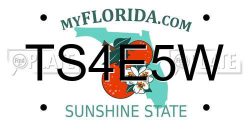 TS4E5W Florida License Plate