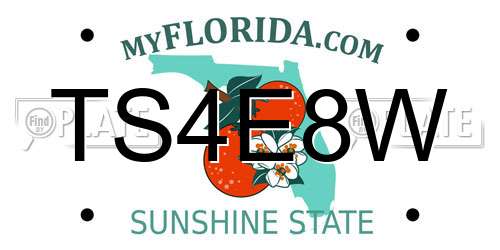 TS4E8W Florida License Plate