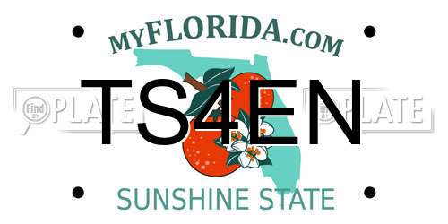 TS4EN Florida License Plate