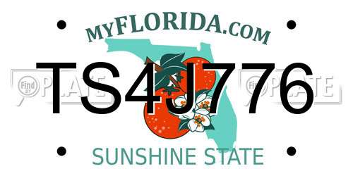 TS4J776 Florida License Plate