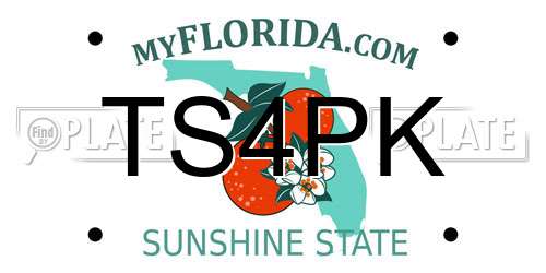 TS4PK Florida License Plate
