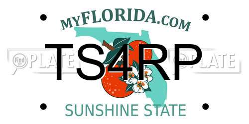 TS4RP Florida License Plate