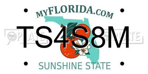 TS4S8M Florida License Plate