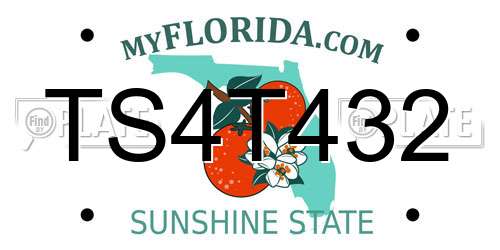 TS4T432 Florida License Plate
