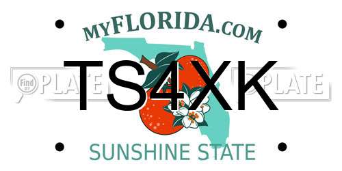 TS4XK Florida License Plate